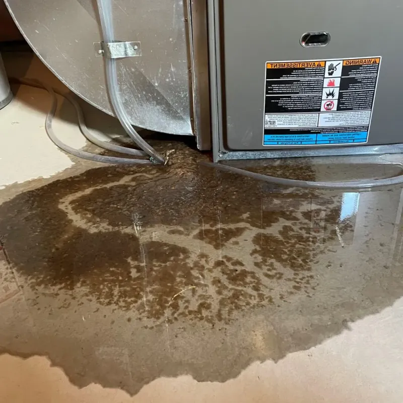 Pipe Burst and Leak Restoration in Chappell, NE