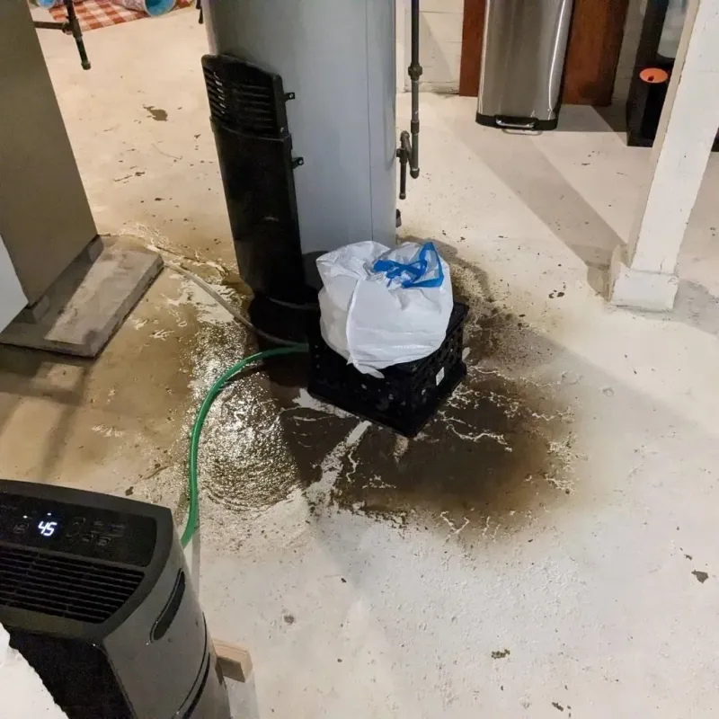 Sewage Backup Cleanup Service in Chappell, NE